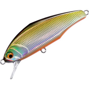 D-インサイト44 スミス(SMITH LTD.)