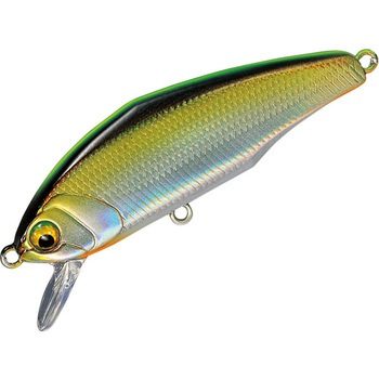 D-インサイト44 スミス(SMITH LTD.)