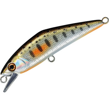 D-コンタクト50 スミス(SMITH LTD.)