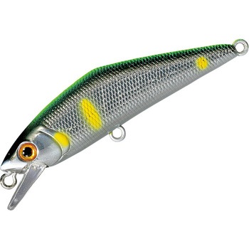 D-コンタクト50 スミス(SMITH LTD.)