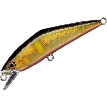 D-コンタクト50 スミス(SMITH LTD.)