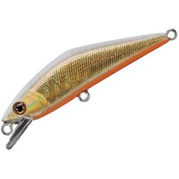 D-コンタクト72 - スミス(SMITH LTD.)