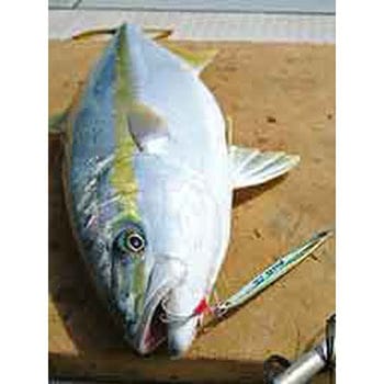 RB.マサムネ 155g スミス(SMITH LTD.)