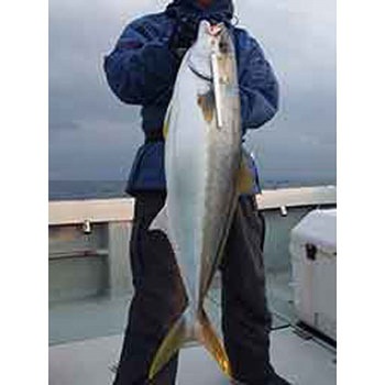 RB.マサムネ 155g スミス(SMITH LTD.)