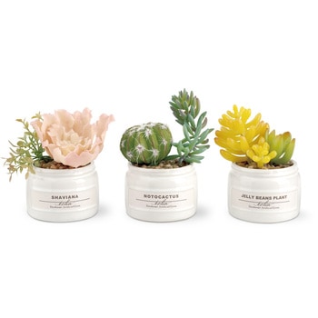 KH-61190 �G�N���A ���L�A�[�e�B�t�B�V�����O���[�� �L�V�} 65325183