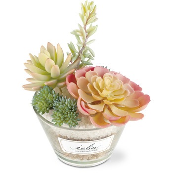 KH-61183 �G�N���A ���L�A�[�e�B�t�B�V�����O���[�� �L�V�} 65325314