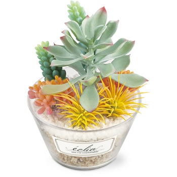 KH-61184 �G�N���A ���L�A�[�e�B�t�B�V�����O���[�� �L�V�} 65325323