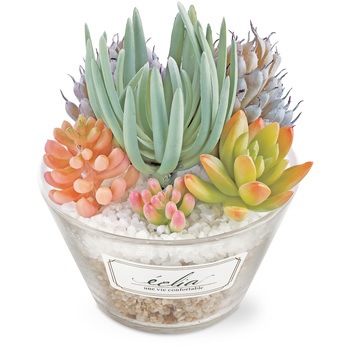 KH-61185 �G�N���A ���L�A�[�e�B�t�B�V�����O���[�� �L�V�} 65325339