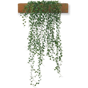 KH-61113 �G�N���A ���L�A�[�e�B�t�B�V�����O���[�� �L�V�} 65325436