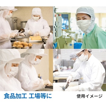 美保Bihou 業務用マスク 日本製 2層タイプ 100枚入 エスパック