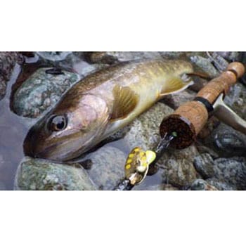 エーアール・スピナー トラウトモデル トリックカラー 4.5g スミス(SMITH LTD.)