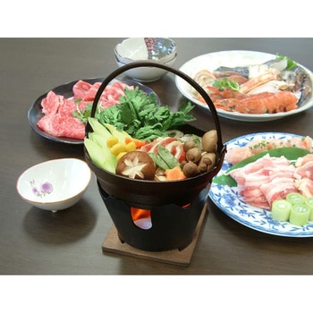 固形燃料 ニチネン