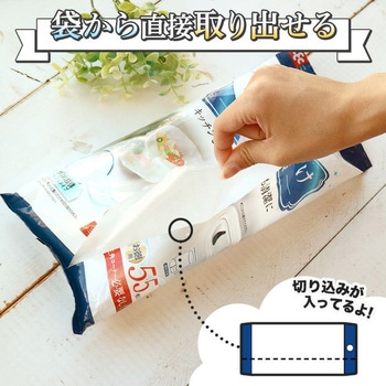 ポンッと置くだけ水切り袋 LEC(レック)