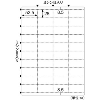 ラミラスター フジプラ