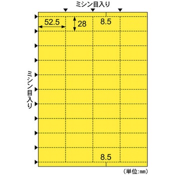 ラミラスター フジプラ