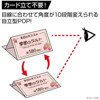ラミラスター フジプラ