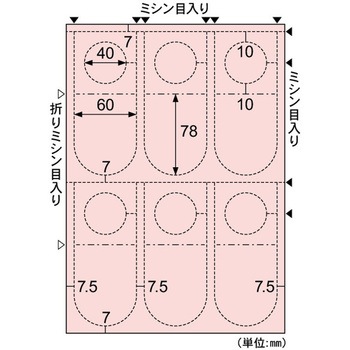ラミラスター フジプラ