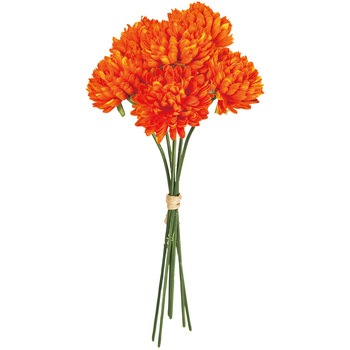 FM000501-009 �x���G�}���s�b�N MAGIQ(������) 65339655