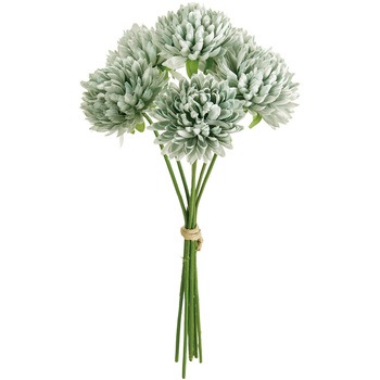 FM000501-015 �x���G�}���s�b�N MAGIQ(������) 65339673