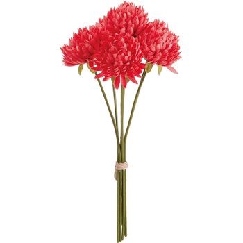 FM000501-028 xG}sbN MAGIQ() 65339698