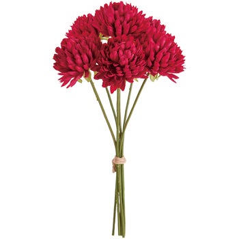 FM000501-053 xG}sbN MAGIQ() 65339743