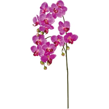 FM000956-012 �}���[�t�@���m MAGIQ(������) 65340023