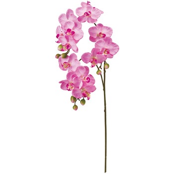 FM000956-050 �}���[�t�@���m MAGIQ(������) 65340039