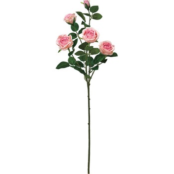 FM002295-002 v}Xv[[Y MAGIQ() 65342297