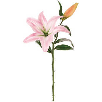 FM003001-002 �N�C�[���J�T�u�����J MAGIQ(������) 65342814