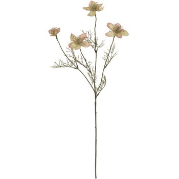 FM003104-025 jQJp[j MAGIQ()  65342866