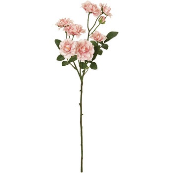 FM003841-002 �o���N�V�A���[�Y MAGIQ(������) 65343505