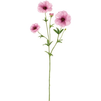 FM004119-042 �����N�X���i���L�����X ������ 65343837