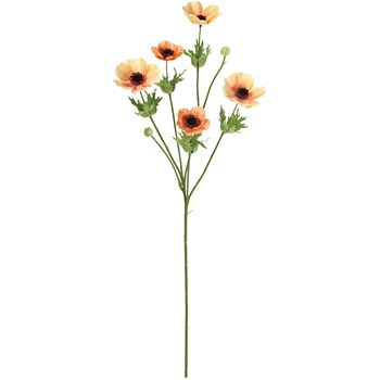 FM004186-006 u[YAllXv[ MAGIQ() 65344047