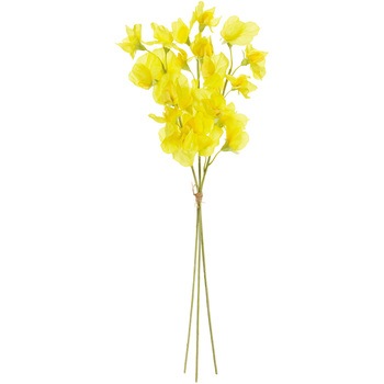 FM006014-004 �W���f�B�X�C�g�s�[�o���h�� ������ 65344808