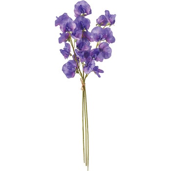 FM006014-017 �W���f�B�X�C�g�s�[�o���h�� ������ 65344817