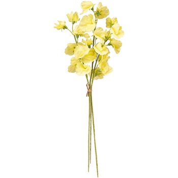 FM006014-104 �W���f�B�X�C�g�s�[�o���h�� ������ 65344853