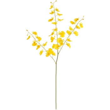 ハニードロップオンシジウム S MAGIQ(東京堂)