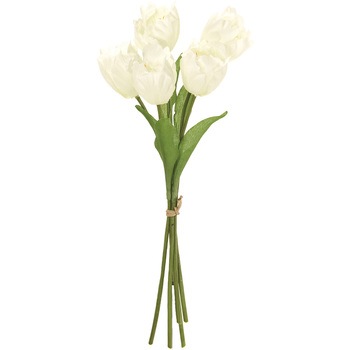 FM008054-001 �G���[�`���[���b�v�o���h�� MAGIQ(������) 65345928