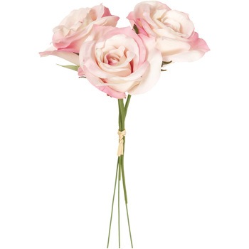 FM008659-048 �v���e�B�J���[�Y�s�b�N ������ 65346357