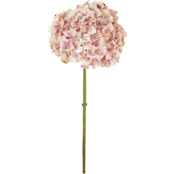 FW098194-148 �N���V�J���n�C�h�����W�A MAGIQ(������) 65347836