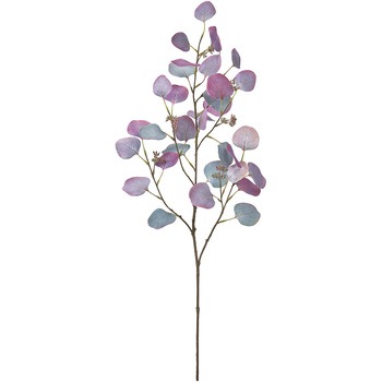 FG002944-017 チェスターユーカリ 1本 MAGIQ(東京堂) 【通販