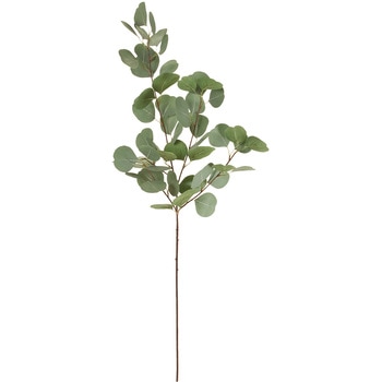 FG105900 ユーカリポポラス 1本 MAGIQ(東京堂) 【通販モノタロウ】