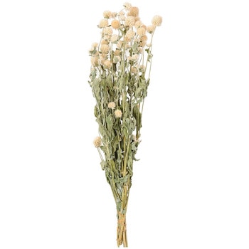 ドライフラワー 小分け】ドライフラワー アスパラ オフホワイト 葉物 白素材 | ク