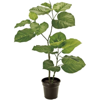 買取店舗光触媒　人工観葉植物　フェイクグリーン　ウンベラータ150センチ 観葉植物