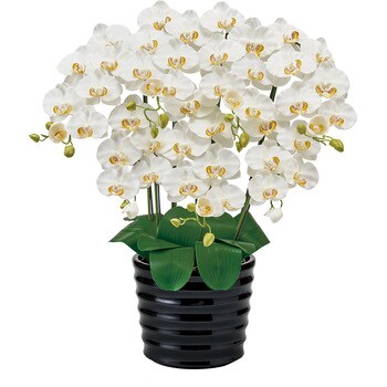 光触媒 人工観葉植物 フェイクグリーン 胡蝶蘭 ピュアオーキッド 光触媒 人工観葉植物 フェイクグリーン 胡蝶蘭 ピュアオーキッド