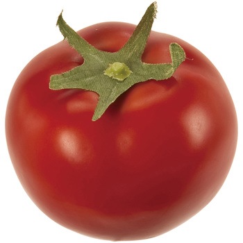 FV005026 トマト 1個 東京堂 【通販モノタロウ】