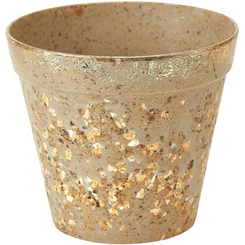 GS004007 �G�V�J���R�[�q�[�|�b�gS ������ 65357679