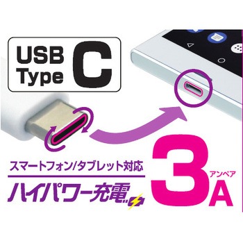 AC充電器 AC typeC 3A カシムラ