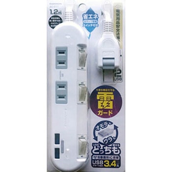 USBポート付AC充電器タップ 4AC-2USB-3.4A SW 雷 カシムラ