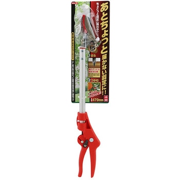 ちょこっと剪定 奥の手 千吉